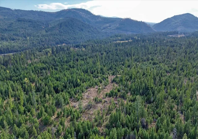 49th image of Nkn Green Rd, Newport, WA 99156 | MLS# 202525512