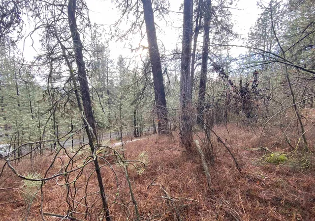 Land for sale at 104x S Azalea Dr, Spokane, WA 99224 | MLS# 202526235