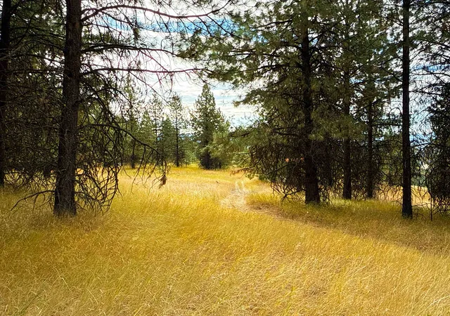 3rd image of 755 Conrad Hill Way, Colville, WA 99114 | MLS# 202526367