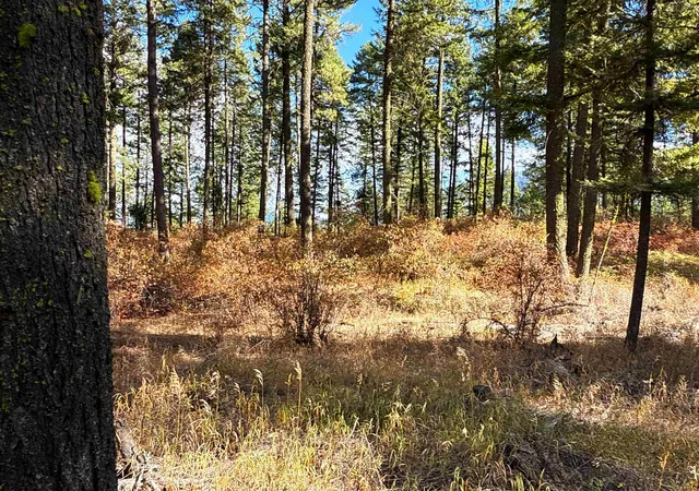 4th image of 755 Conrad Hill Way, Colville, WA 99114 | MLS# 202526367