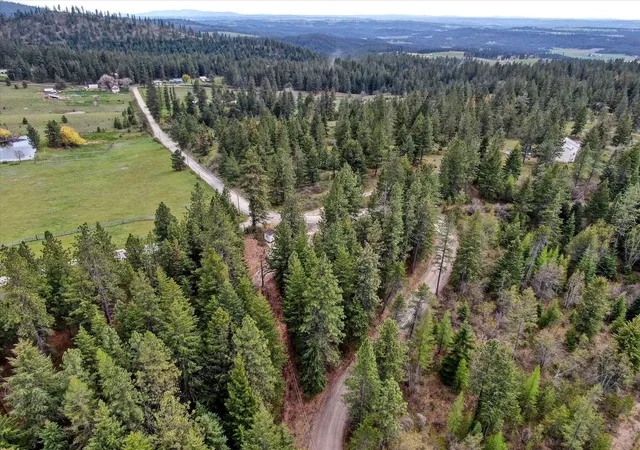 Homes for sale in Chattaroy, WA | 29110 N Conklin Rd, Chattaroy, WA 99003 | MLS# 202526378
