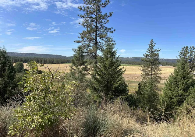 Homes for sale in Springdale, WA | 4256 231 Hwy, Springdale, WA 99173 | MLS# 202526545