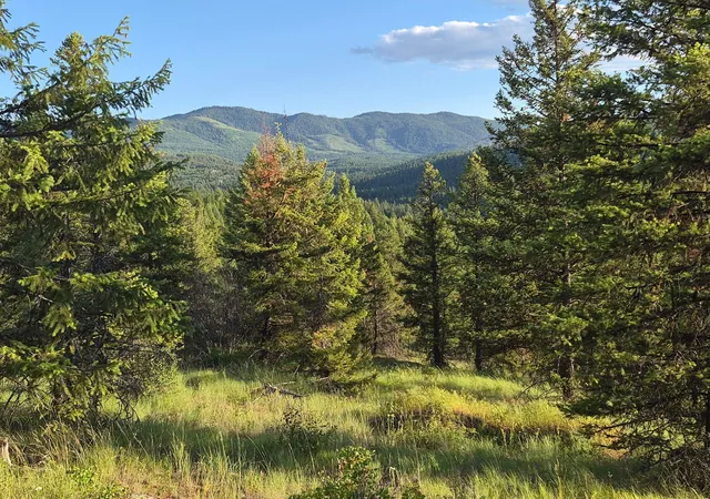 1st image of 2094 Clugston Onion Creek Rd, Colville, WA 99114 | MLS# 202526634