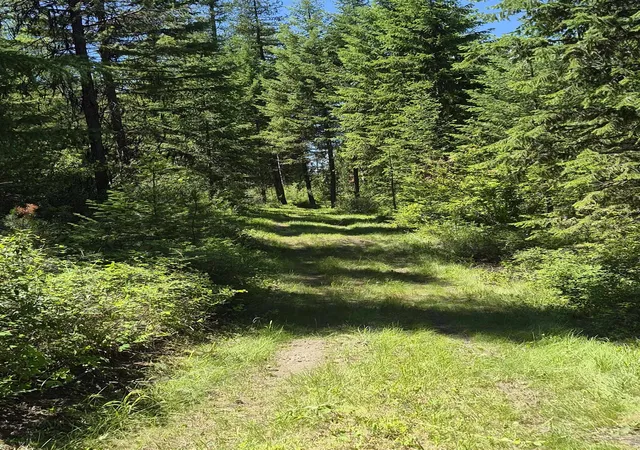 Photo 3 of Land for sale at 2094 Clugston Onion Crk Rd, Colville, WA 99114 | MLS# 202526634 | Listing updated on 2026-06-23