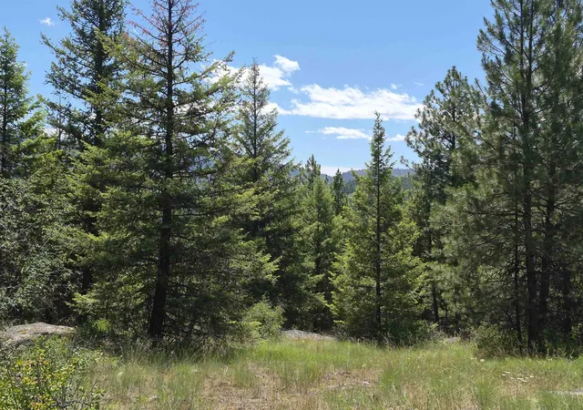 Photo 4 of Land for sale at 2094 Clugston Onion Crk Rd, Colville, WA 99114 | MLS# 202526634 | Listing updated on 2026-06-23