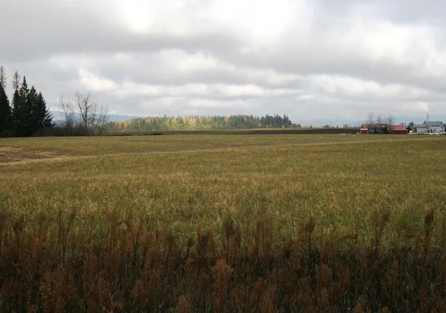 2nd image of Lot 4 Mule Deer Ln, Deer Park, WA 99006 | MLS# 202526687