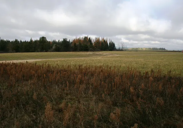 1st image of Lot 4 Mule Deer Ln, Deer Park, WA 99006 | MLS# 202526687