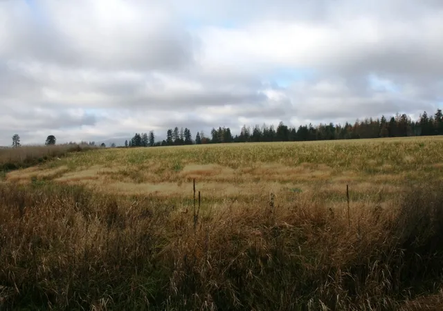 2nd image of Lot 2 Mule Deer Ln, Deer Park, WA 99006 | MLS# 202526688