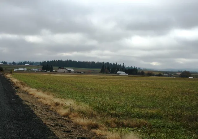 Photo 3 of Land for sale at Lot 2 Mule Deer Ln, Deer Park, WA 99006 | MLS# 202526688 | Listing updated on 2025-11-21