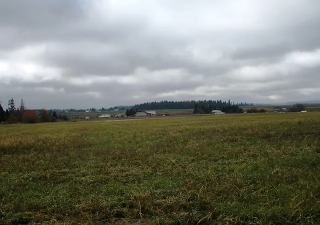 4th image of Lot 2 Mule Deer Ln, Deer Park, WA 99006 | MLS# 202526688