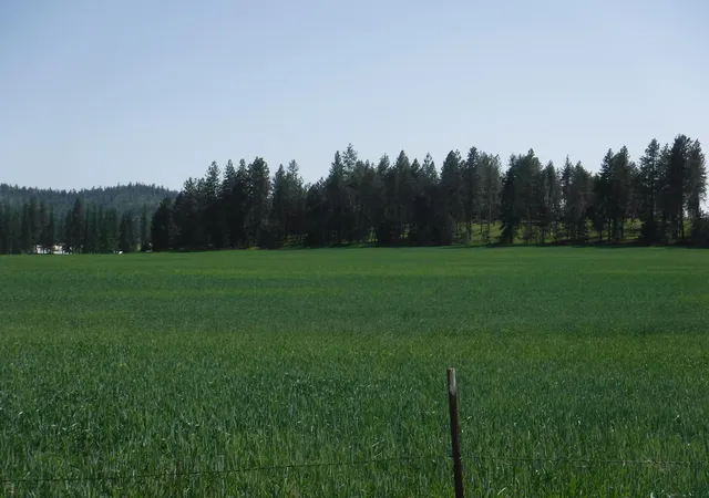 2nd image of Lot 12 Mule Deer Ln, Deer Park, WA 99006 | MLS# 202526690