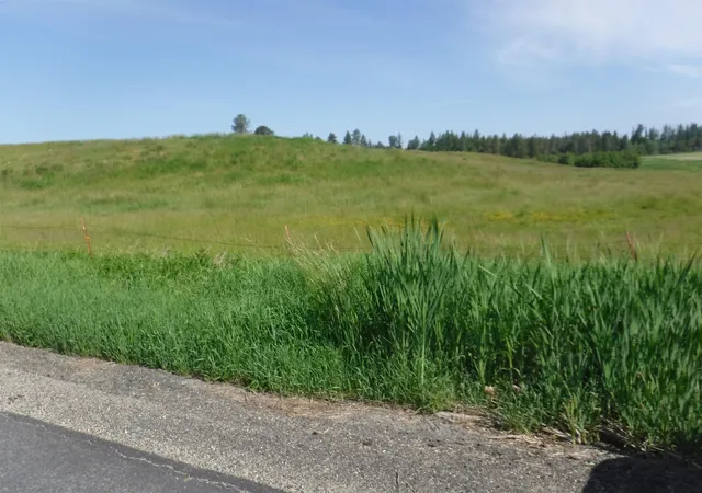 1st image of Lot 12 Mule Deer Ln, Deer Park, WA 99006 | MLS# 202526690
