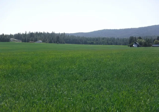 4th image of Lot 12 Mule Deer Ln, Deer Park, WA 99006 | MLS# 202526690