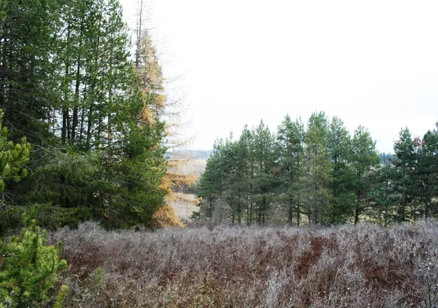 1st image of 00 Dahl Lot 8 Rd, Deer Park, WA 99006 | MLS# 202526692