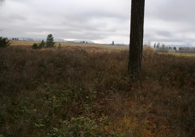 3rd image of 00 Dahl Lot 8 Rd, Deer Park, WA 99006 | MLS# 202526692