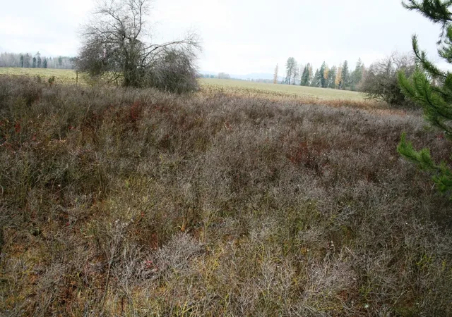 4th image of 00 Dahl Lot 8 Rd, Deer Park, WA 99006 | MLS# 202526692