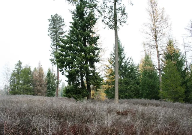 5th image of 00 Dahl Lot 8 Rd, Deer Park, WA 99006 | MLS# 202526692