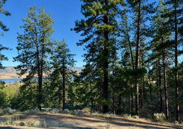 Photo 1 of Land for sale at 510 Hunt Ln, Davenport, WA 99122 | MLS# 202526960 | Listing updated on 2026-08-28