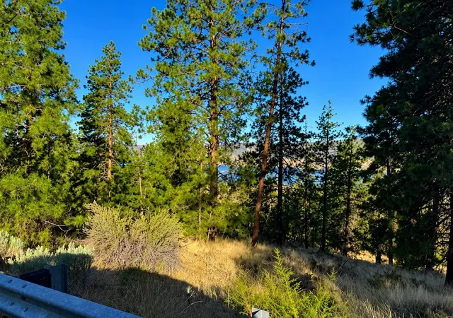 Photo 2 of Land for sale at 510 Hunt Ln, Davenport, WA 99122 | MLS# 202526960 | Listing updated on 2026-08-28