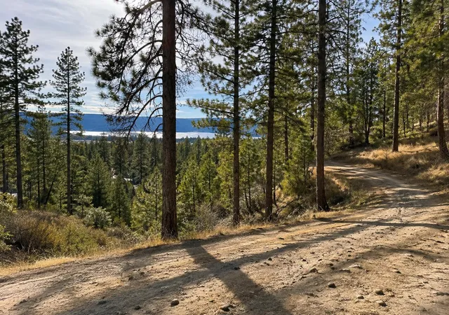 Photo 3 of Land for sale at 510 Hunt Ln, Davenport, WA 99122 | MLS# 202526960 | Listing updated on 2026-08-28