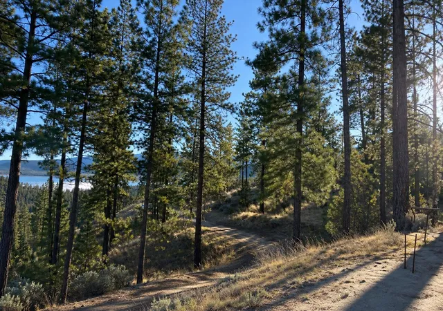 Photo 3 of Land for sale at 510 Hunt Ln, Davenport, WA 99122 | MLS# 202526960 | Listing updated on 2026-08-28