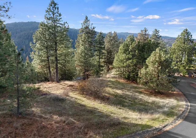 image of Xxxx E View Ridge Ln, Spokane, WA 99206 | MLS# 202527052