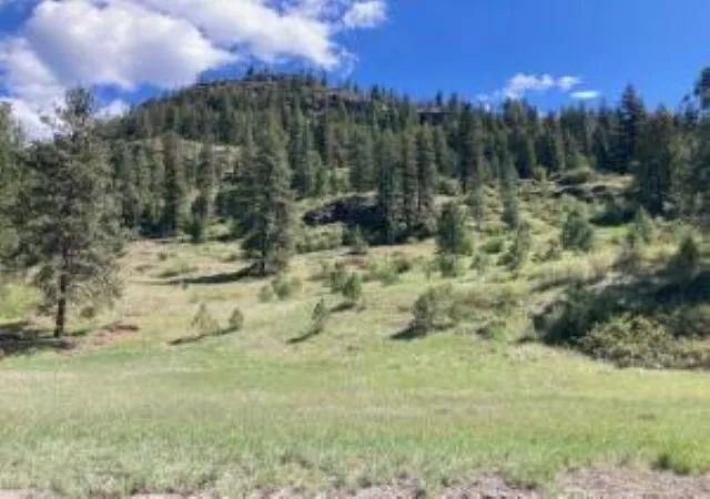 Homes for sale in Kettle Falls, WA | 35Xx Rockcut Rd, Kettle Falls, WA 99141 | MLS# 202527712