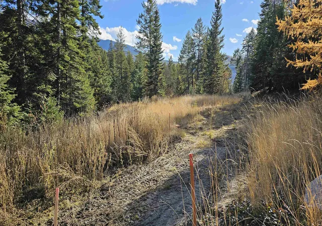 1st image of 717 B Finley Gulch Rd, Colville, WA 99114 | MLS# 202527875