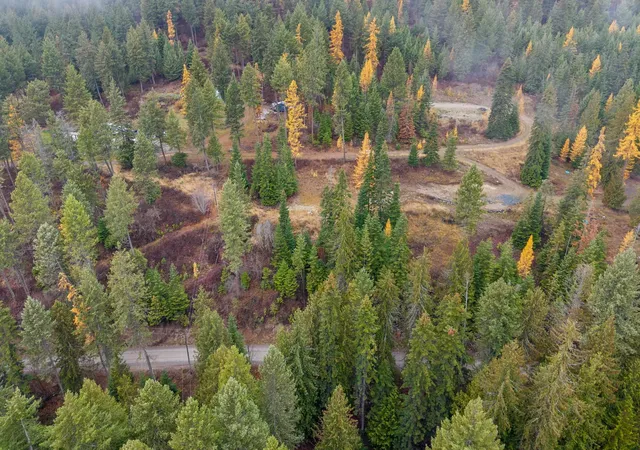 17th image of 717 B Finley Gulch Rd, Colville, WA 99114 | MLS# 202527875