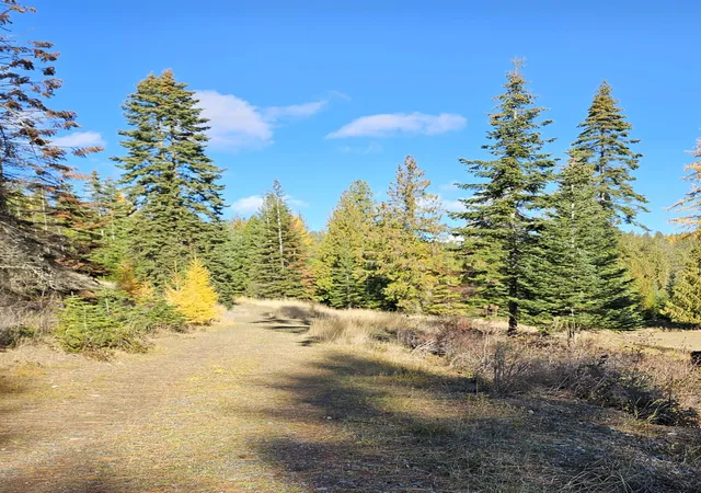 2nd image of 717 B Finley Gulch Rd, Colville, WA 99114 | MLS# 202527875