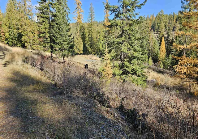 3rd image of 717 B Finley Gulch Rd, Colville, WA 99114 | MLS# 202527875