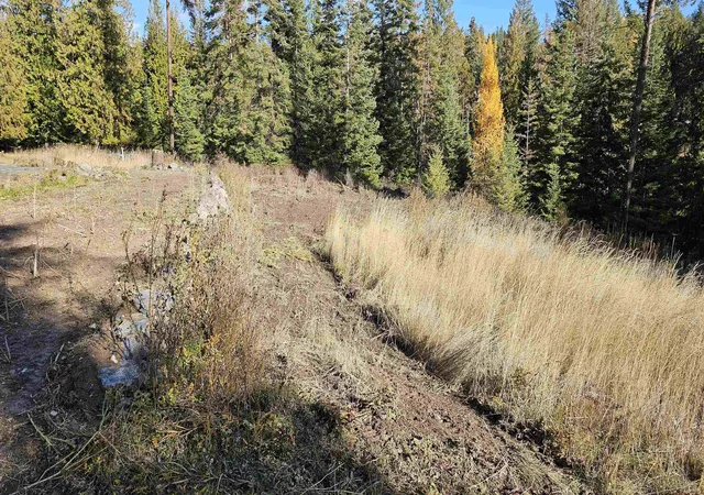 4th image of 717 B Finley Gulch Rd, Colville, WA 99114 | MLS# 202527875