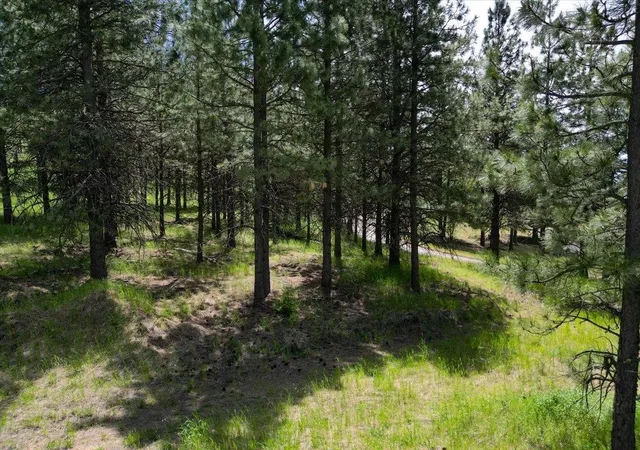 Photo 1 of Land for sale at 0 E Custer Ln, Spokane, WA 99223 | MLS# 202610053 | Listing updated on 2026-08-06