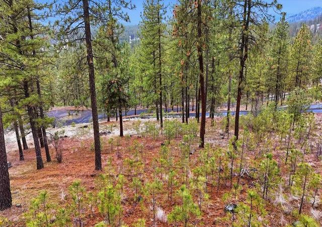 Photo 3 of Land for sale at 6499 Syringa Way, Nine Mile Falls, WA 99026 | MLS# 202610104 | Listing updated on 2026-08-14