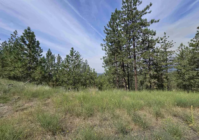 Homes for sale in Nine Mile Falls, WA | 6499 Syringa Wy, Nine Mile Falls, WA 99026 | MLS# 202610104