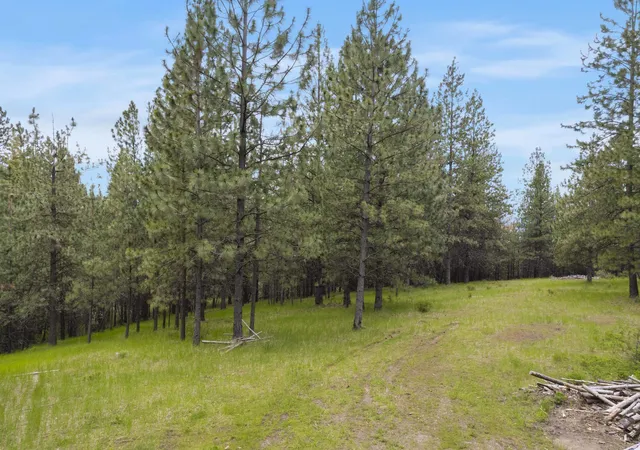 Photo 3 of Land for sale at 17534 E Off My Ln, Spokane, WA 99217 | MLS# 202610150 | Listing updated on 2026-01-09