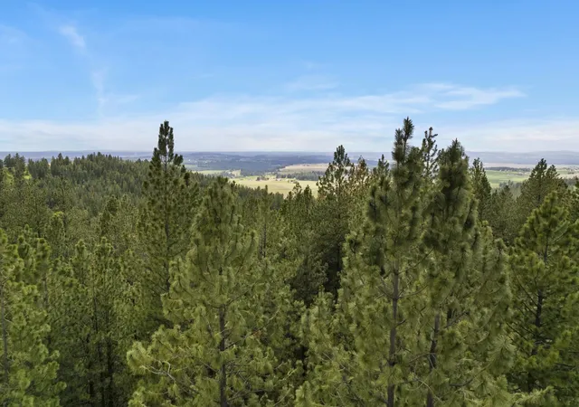 Photo 3 of Land for sale at 17534 E Off My Ln, Spokane, WA 99217 | MLS# 202610150 | Listing updated on 2026-01-09
