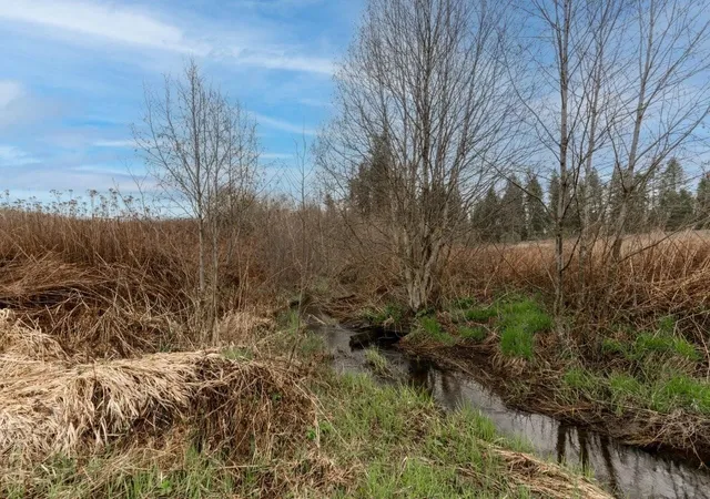 4th image of 343Xx N Spotted Rd, Deer Park, WA 99006 | MLS# 202610281