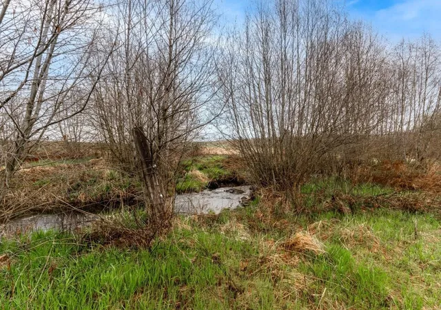 5th image of 343Xx N Spotted Rd, Deer Park, WA 99006 | MLS# 202610281
