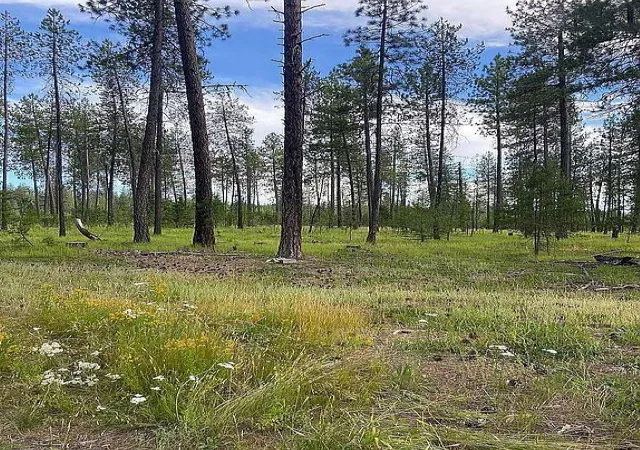 Land for sale at 151xx E Oregon Rd, Elk, WA 99009 | MLS# 202610324