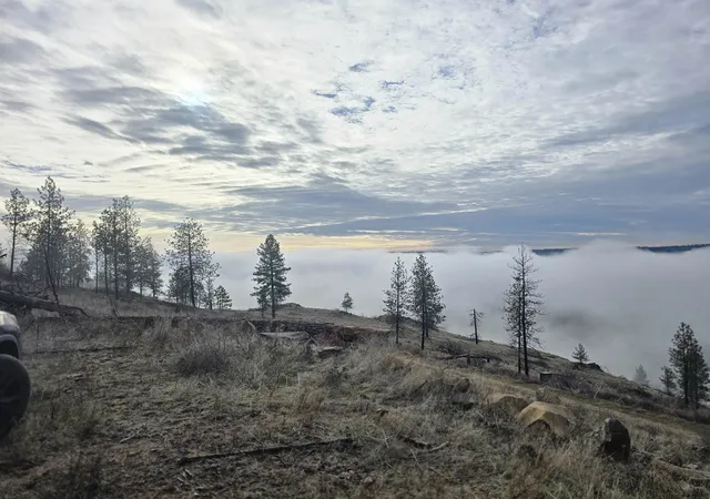 Photo 1 of Land for sale at Xx Pine Ridge Way, Nine Mile Falls, WA 99026 | MLS# 202610350 | Listing updated on 2026-10-09