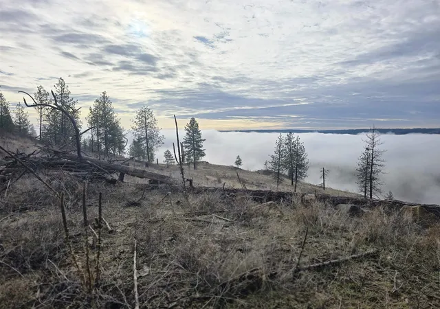 2nd image of Xx Pine Ridge Wy, Nine Mile Falls, WA 99026 | MLS# 202610350