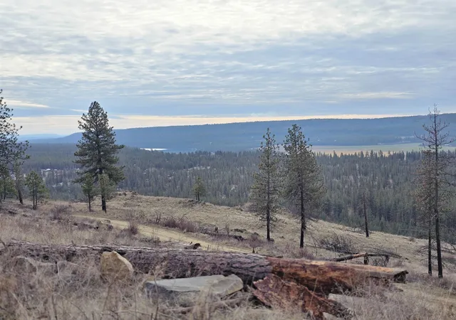 Photo 3 of Land for sale at Xx Pine Ridge Way, Nine Mile Falls, WA 99026 | MLS# 202610350 | Listing updated on 2026-08-14