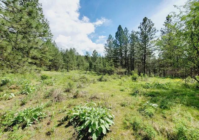 Photo 1 of Land for sale at 00 E Bigelow Gulch Rd, Spokane, WA 99217 | MLS# 202610437 | Listing updated on 2026-08-21