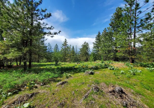 Photo 3 of Land for sale at 00 E Bigelow Gulch Rd, Spokane, WA 99217 | MLS# 202610437 | Listing updated on 2026-08-21