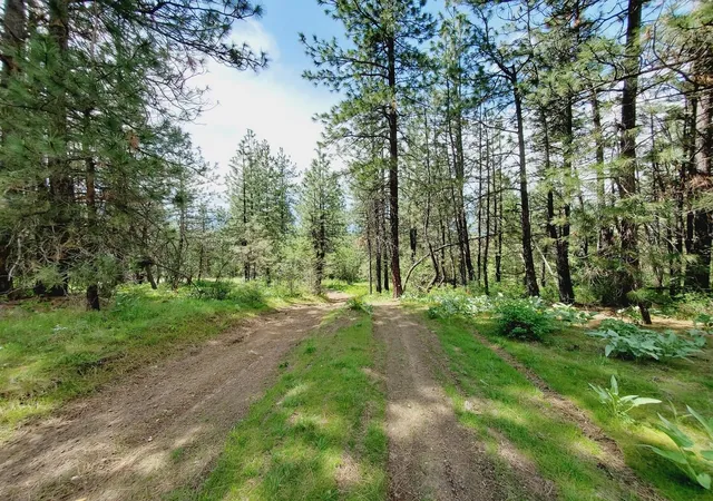 Photo 4 of Land for sale at 00 E Bigelow Gulch Rd, Spokane, WA 99217 | MLS# 202610437 | Listing updated on 2026-08-21