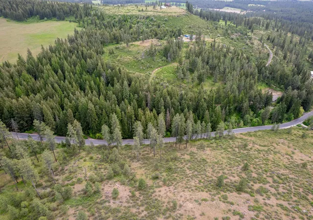 23rd image of Xxx N Schwatchtgen Rd, Chattaroy, WA 99003 | MLS# 202610450