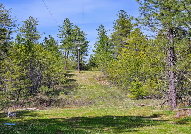 2nd image of 4464 Woods Way Rd, Springdale, WA 99173 | MLS# 202610481
