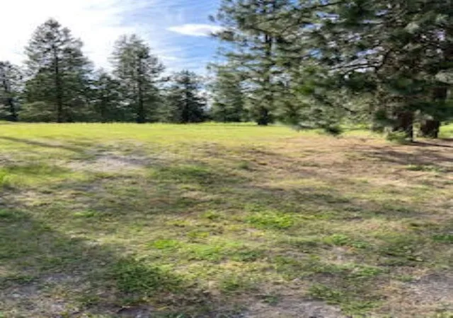 Homes for sale in Springdale, WA | 108 S Main St, Springdale, WA 99173 | MLS# 202610642