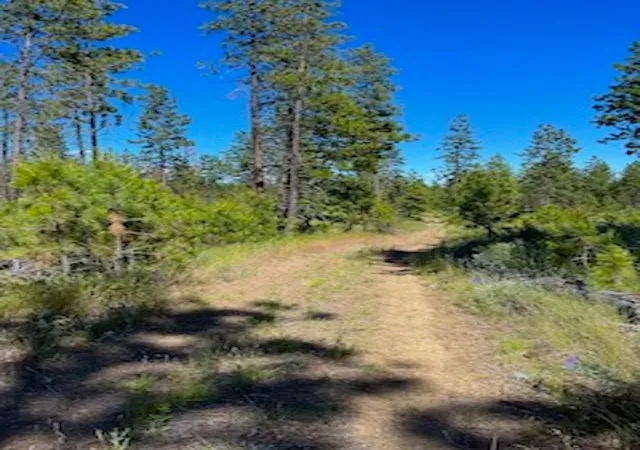 Land for sale at Lot B Kronos Short Plat/pine Hen Ln, Davenport, WA 99122 | MLS# 202610696
